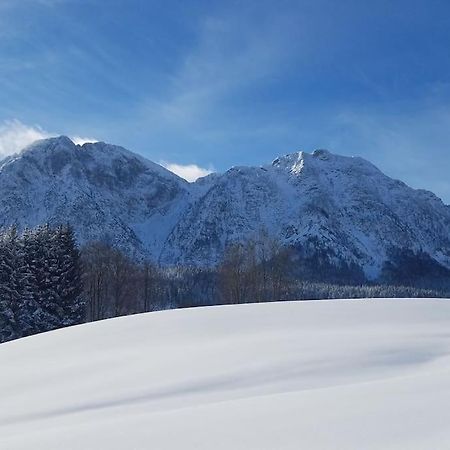 'Dasbergblick' Altaussee Eksteriør bilde