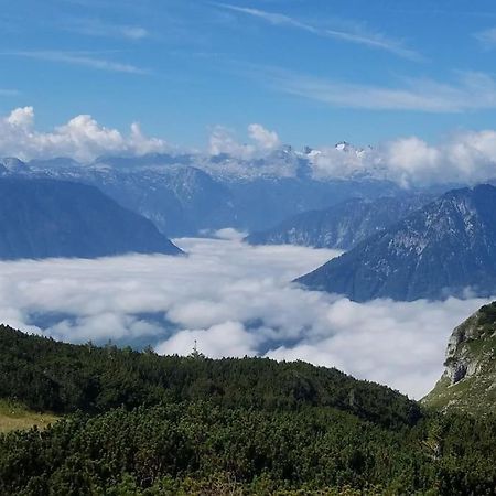'Dasbergblick' Altaussee Eksteriør bilde
