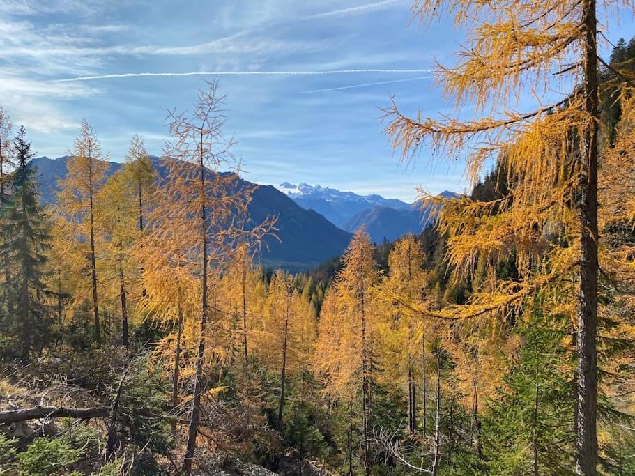 'Dasbergblick' Altaussee Eksteriør bilde