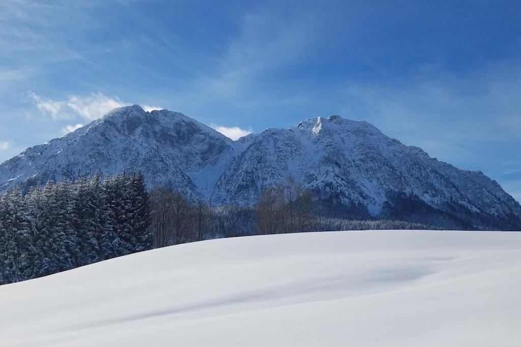 'Dasbergblick' Altaussee Eksteriør bilde